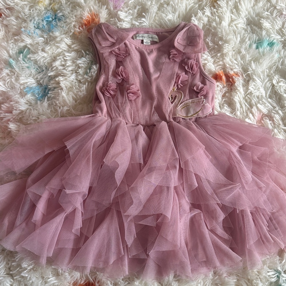 Audrey Camille Pink Tulle Swan Dress 2T | Floral Appliqué Princess Party Dress